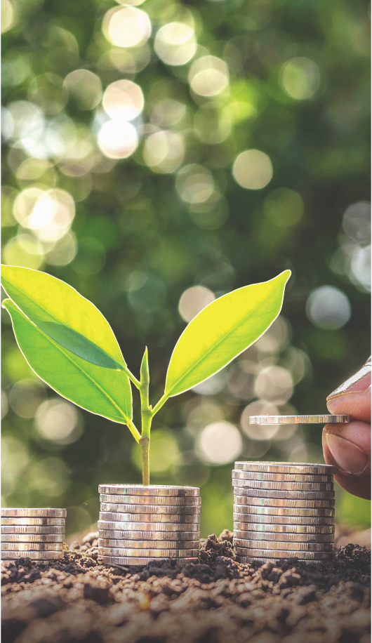 Working Capital Solutions — Tip-Point Capital