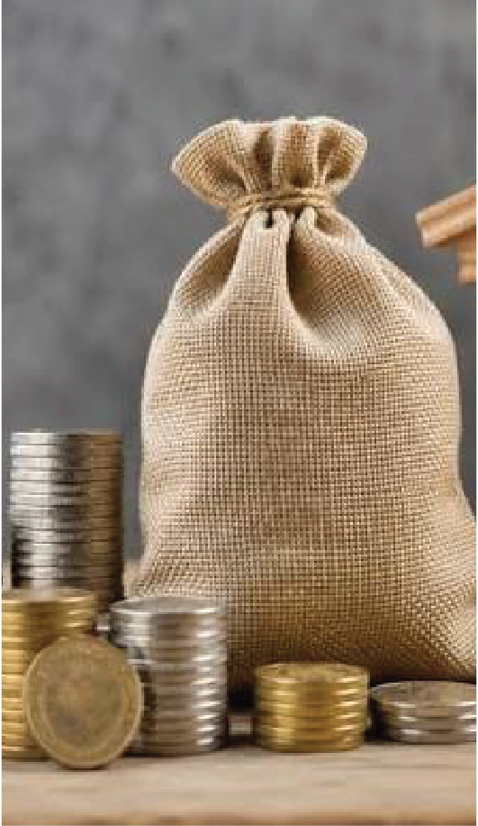 Micro Loans — Tip-Point Capital